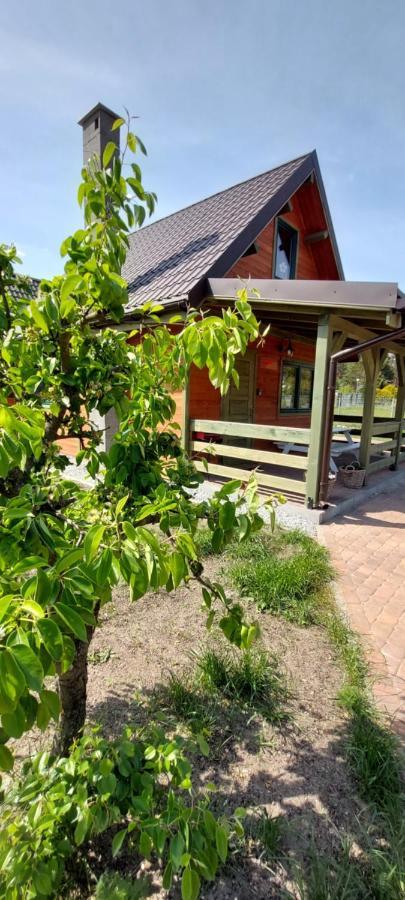 Villa Siesta Country Świebodzin Exterior foto